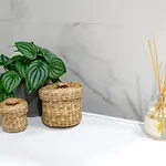 M2c Colon Κόρδοβα