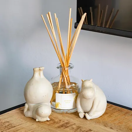 M2c Colon Διαμέρισμα *