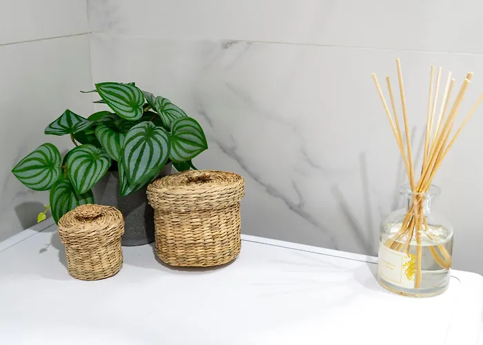 M2c Colon קורדובה